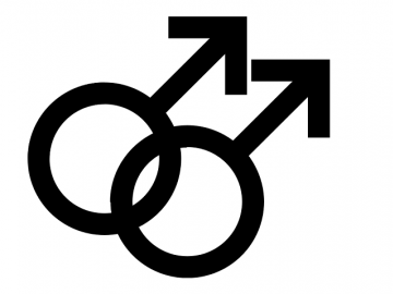 Homo en Homoseksuele geaardheid