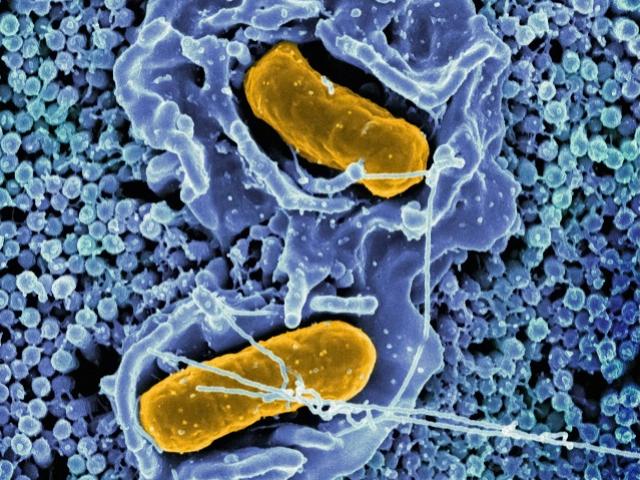 Kunnen condooms schimmelinfecties veroorzaken?