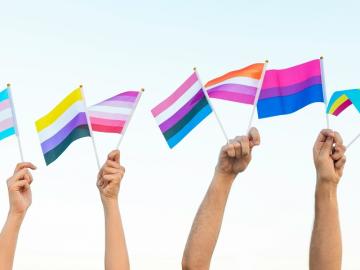 De verschillende soorten seksuele geaardheden