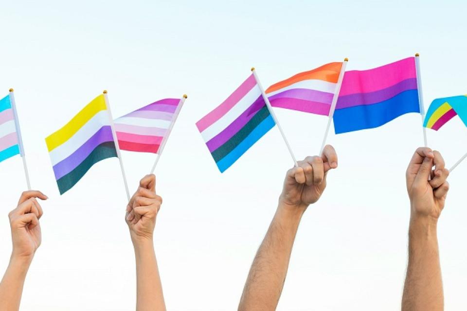 De verschillende soorten seksuele geaardheden