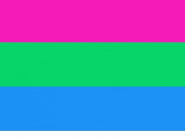 Polyseksueel en polyseksualiteit