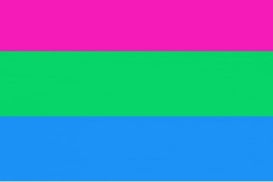 Polyseksueel en polyseksualiteit